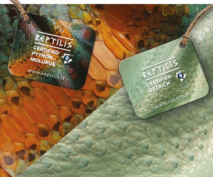 Reptilis