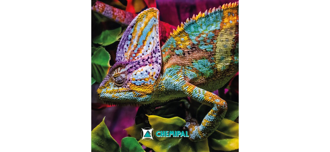 chemipal