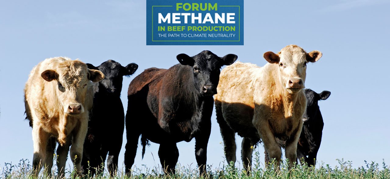 Forum-Methane-in-Beef-Production-ie