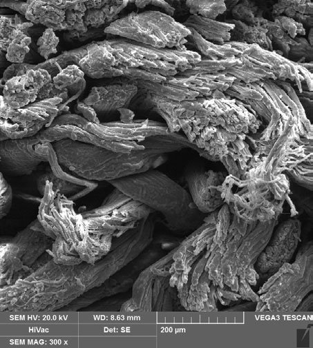 united chemicals Figure 3. Surface images of leather 100x