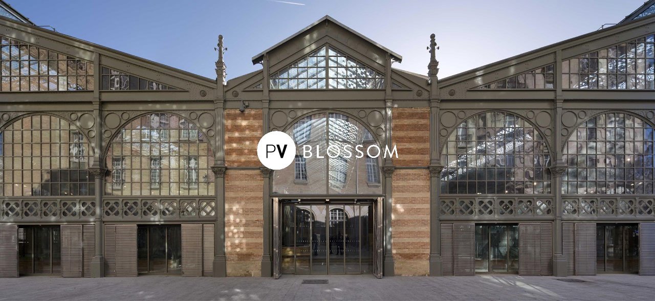 Pv blossom 2023