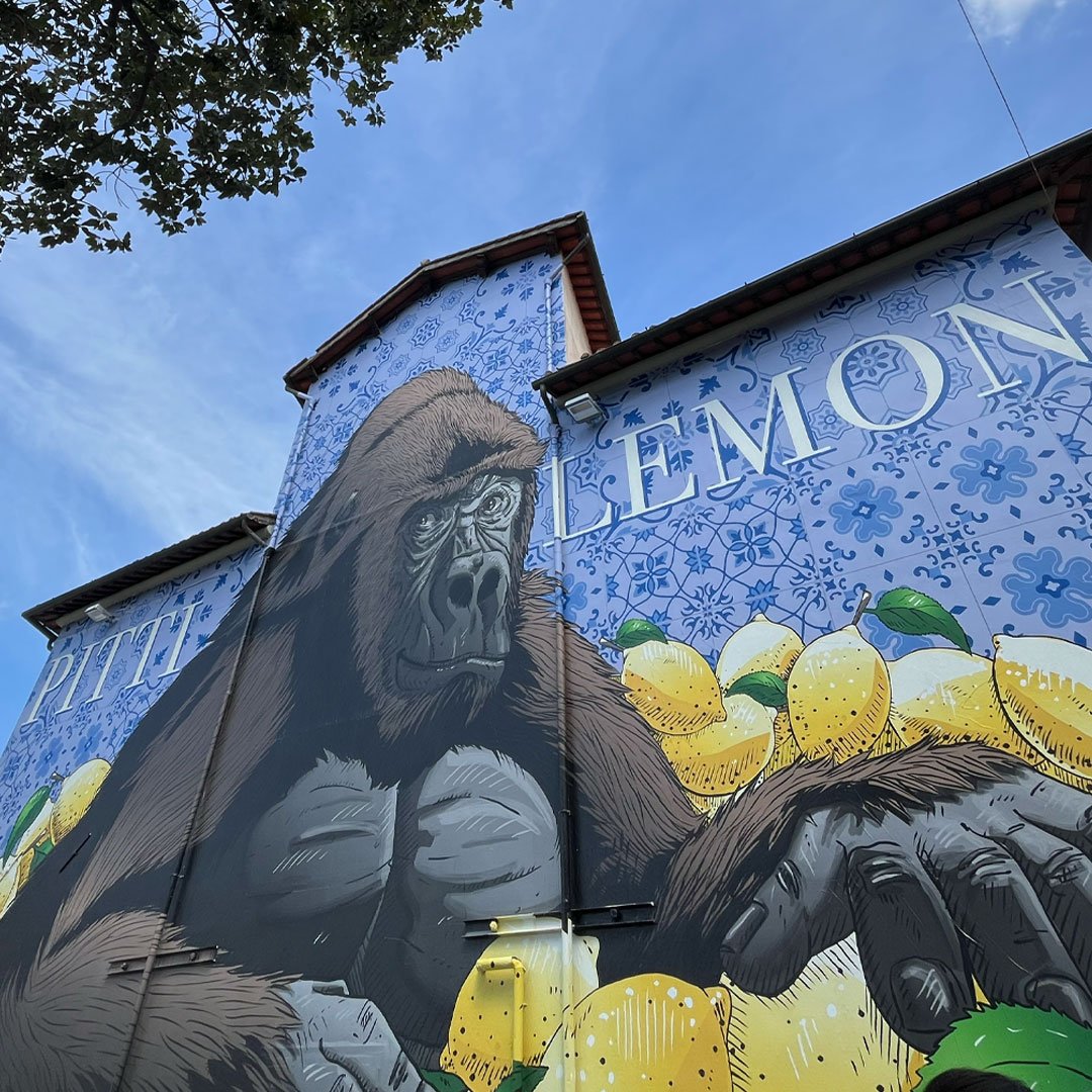 pitti lemon IG